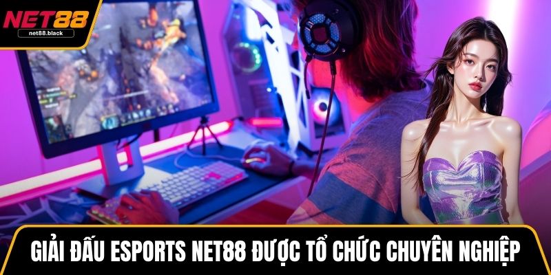 Giải đấu Esports NET88 được tổ chức chuyên nghiệp