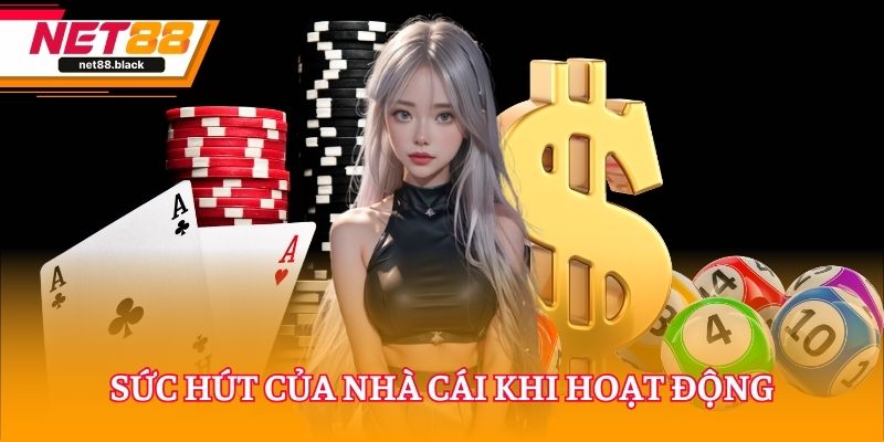 Sức hút của nhà cái khi hoạt động